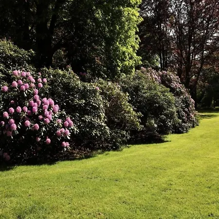 Sunlit By The Pond *