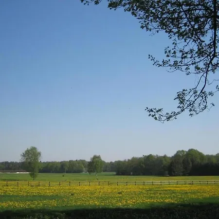 Chalet Sunlit By The Pond Lochem