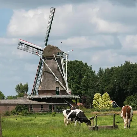 Sunlit By The Pond Chalet