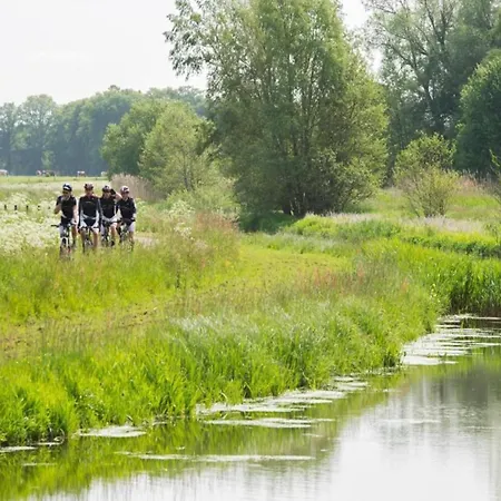 Sunlit By The Pond Chalet Lochem