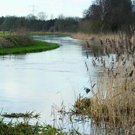 Chalet Sunlit By The Pond *