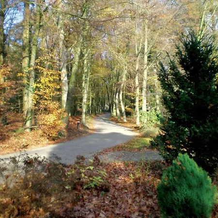 Sunlit By The Pond Chalet *
